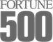 Fortune 500